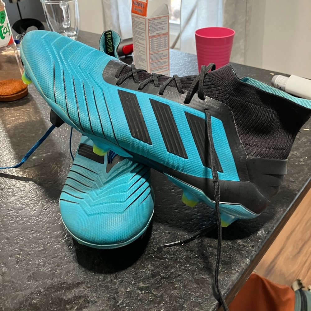 Adidas Predator Cleats 19.1 FG